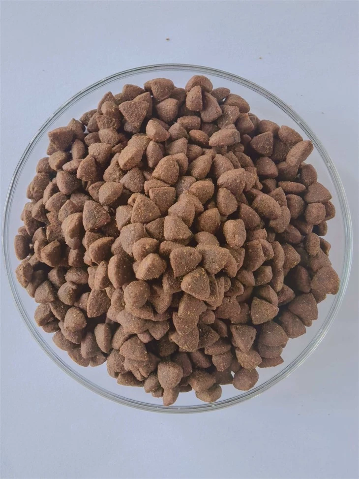 Cat Food Pet Products